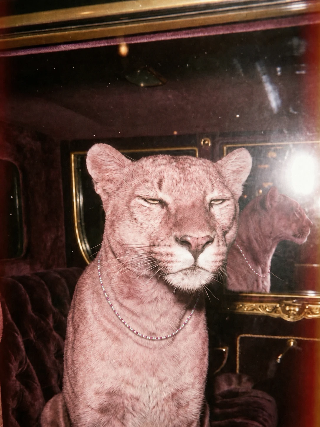 The campaign frame, the pink sapphire line worn in a velvet interior